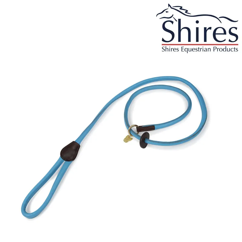 Digby and Fox - Blue